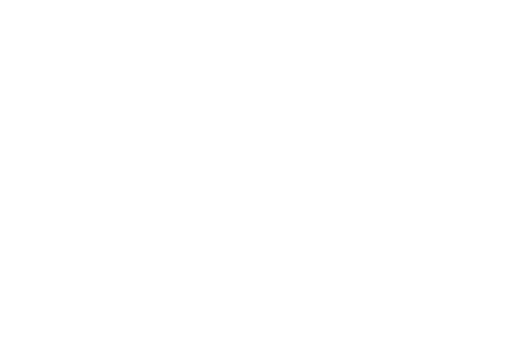 an streamlined, elegant, vector-drawn white bird representing infinity